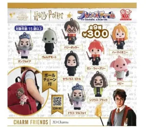 [Pre-Order Sept 26] Friends Charm Harry Potter (with Charm)
