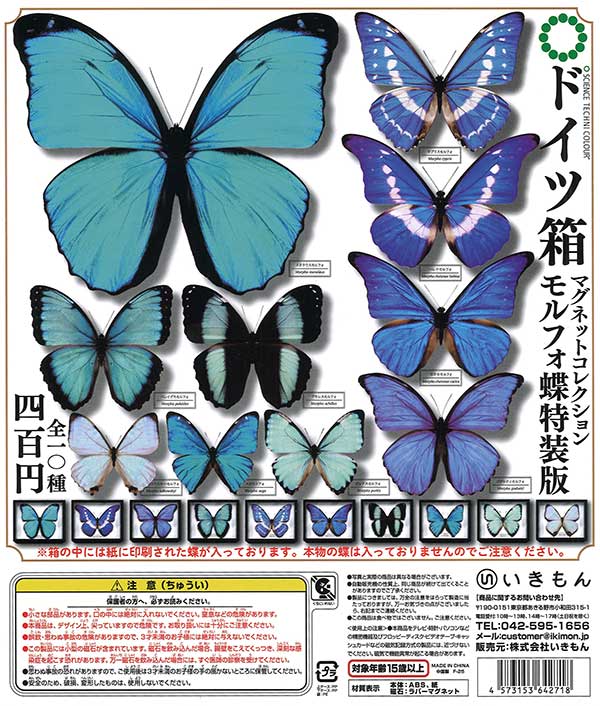 [In Stock Pre-Order] STC German Box Magnet Collection Morpho Butterfly Special Edition