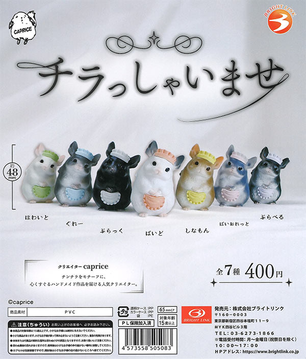 [In Stock Pre-Order] Welcome to the shop