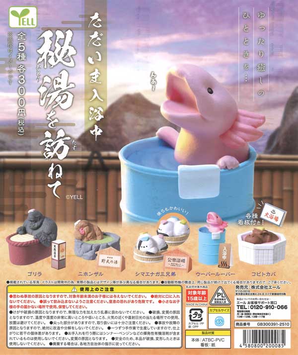 [In Stock Pre-Order] Now Bathing ~ Visiting a Secret Hot Spring ~