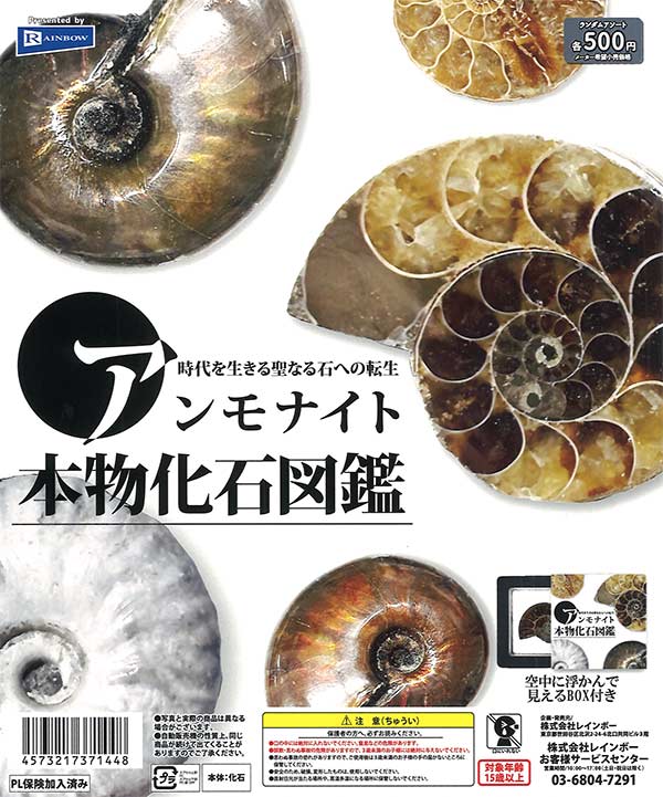 [In Stock Pre-Order] Ammonite Fossil Illustrated Guide