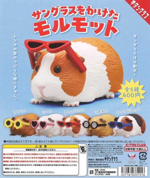 [In Stock Pre-Order] Guinea pig wearing sunglasses