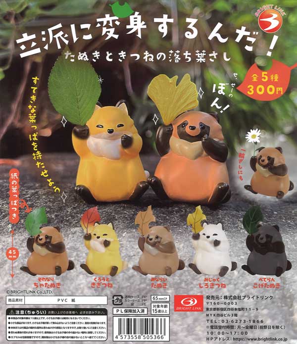 [In Stock Pre-Order] Transform into something magnificent!