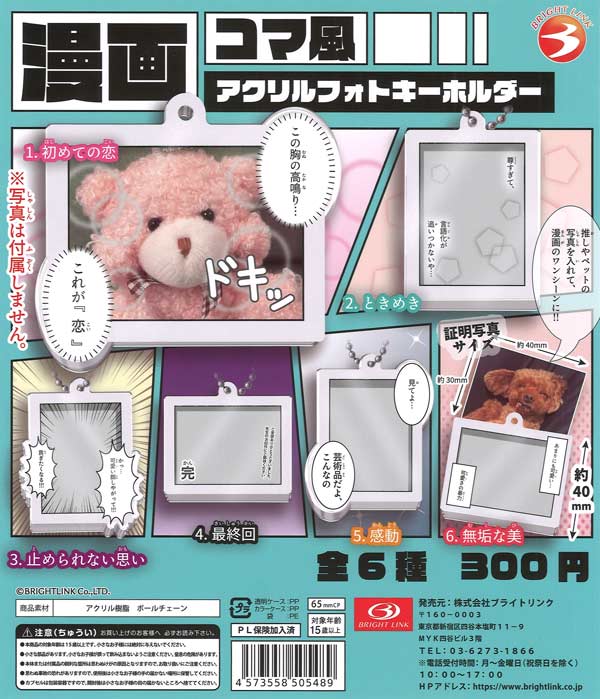 [In Stock Pre-Order] Manga Frame-Style Acrylic Photo Keychains