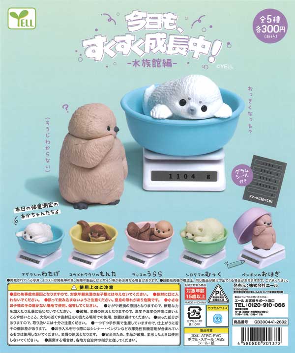 [In Stock Pre-Order] Growing up fast today! -Aquarium Edition- (40 pieces)