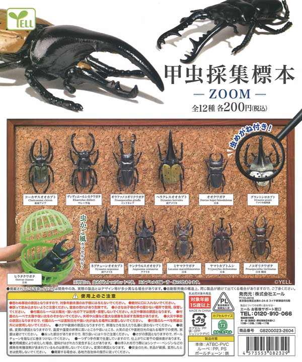 [In Stock Pre-Order] [Re-release] Beetle Collection Specimen ~ZOOM~ (50 pieces)