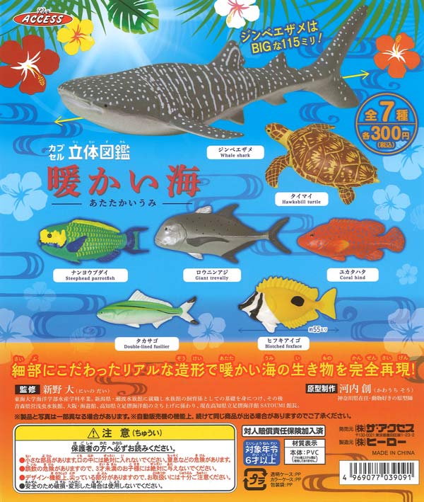[In Stock Pre-Order] 3D Illustrated Guide to the Warm Sea (40 pieces)