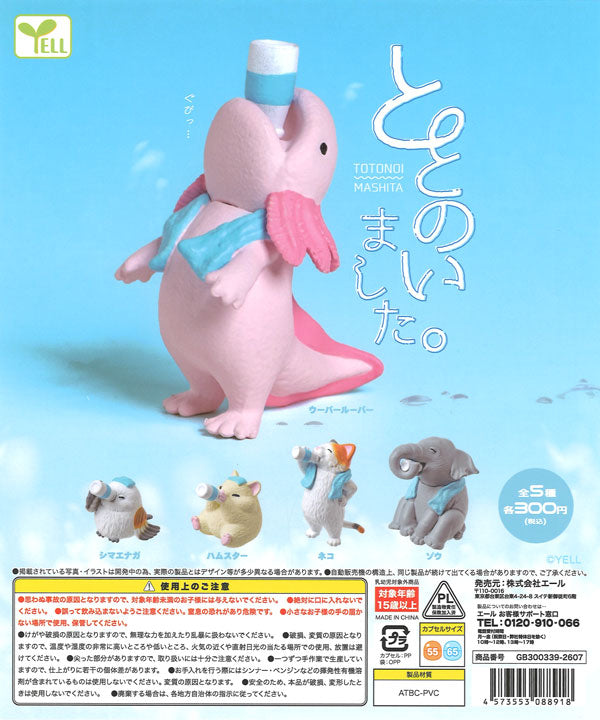 [In Stock Pre-Order] [Re-release] Now available! (40 pieces)