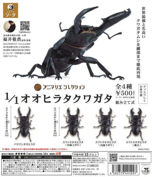 [In Stock Pre-Order] [Re-release] 1/1 Scale Giant Stag Beetle (20 pieces)