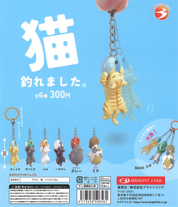 [In Stock Pre-Order] Cat caught! (40 pieces)