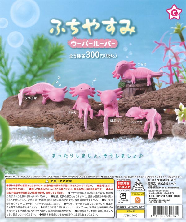[In Stock Pre-Order] Fuchiyasumi Axolotl (40 pieces)