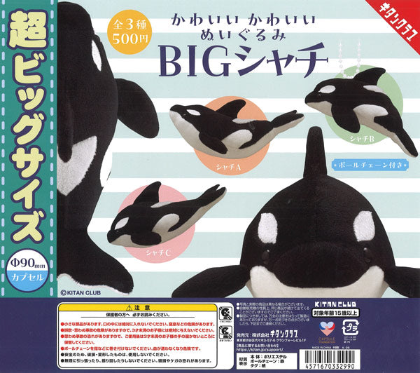 [In Stock Pre-Order] ★90mm Capsule★《Re-release》Cute Plush Toy BIG ~Orca~ (20 pieces)