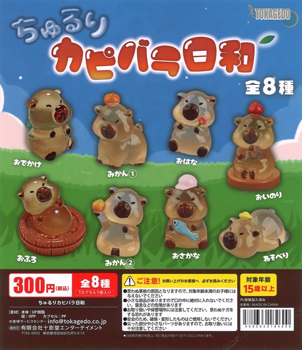 [In Stock Pre-Order] Chururi Capybara Day (40 pieces)