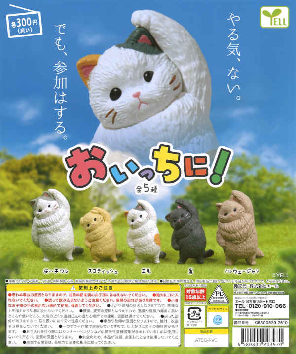 [In Stock Pre-Order] Oichi Ni! (40 pieces)