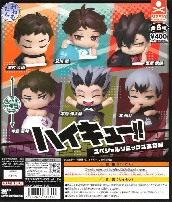 [In Stock Pre-Order] Onemutan Haikyu!! Special Remix Captain Edition (30 pieces)