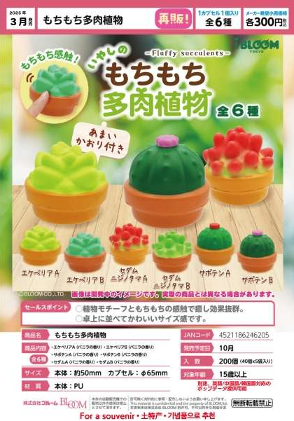 [Pre-Order Dec 24] Mochimochi Succulent Plants